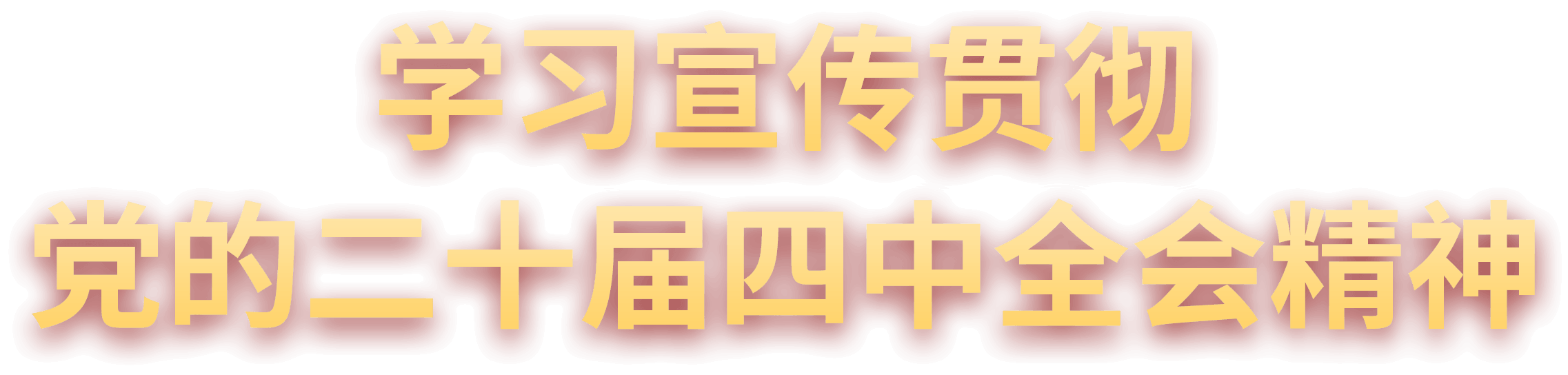 学习宣传贯彻党的二十届四中全会精神